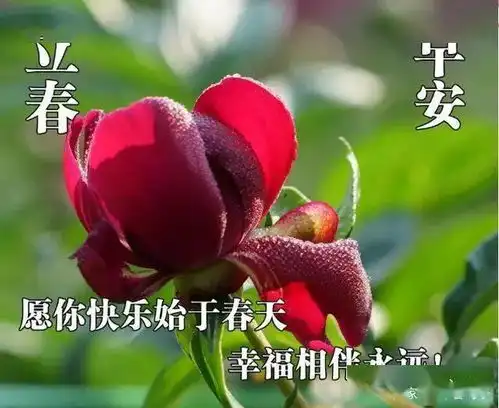 2021年2月3日立春早上好动态表情图片大全,早晨好美图大全