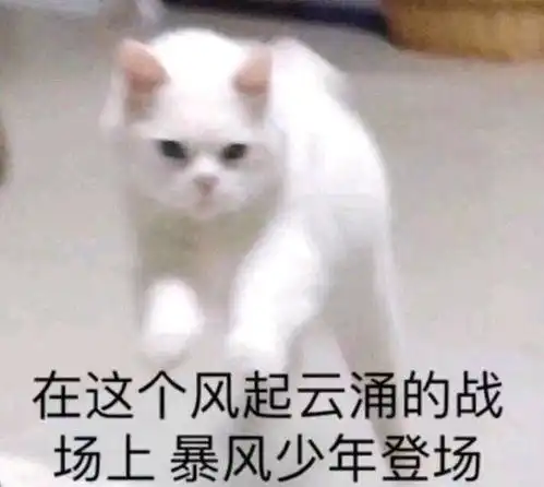 穿收藏夹
