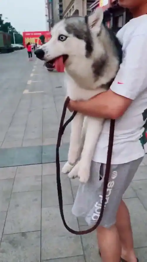 大热天的,还要抱着它,
