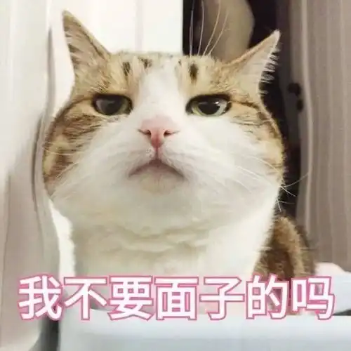 学生和老师,谁先认怂
