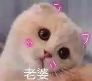 斗图小表情9.27
