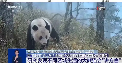 边撸熊猫边上学全国首个大熊猫学院正式招生啦
