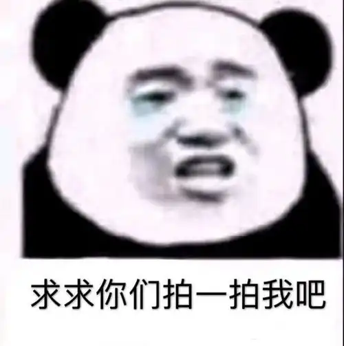 微信拍一拍聊天搞笑表情包来袭,拍一拍表情包火爆全网,拍一拍gif
