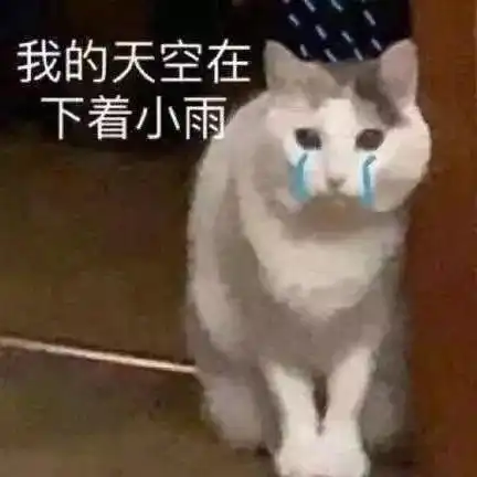 我磕好好磕这个cp也很好磕
