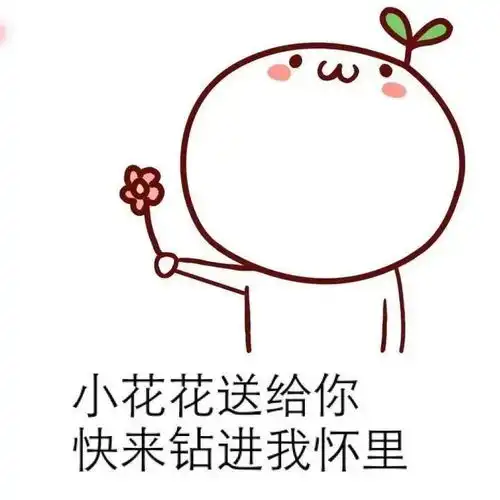 团学志技术部招新
