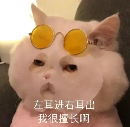 表情包我约会去啦,单身狗拜拜
