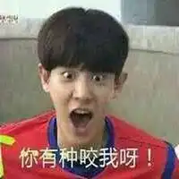 朴灿烈表情包带字搞笑微信头像图片大全
