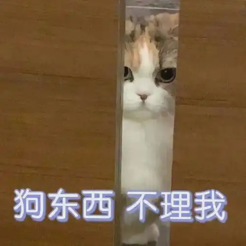 表情包,人间有趣,请勿泄气
