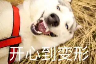对狗狗来说,主人更重要还是美食更重要
