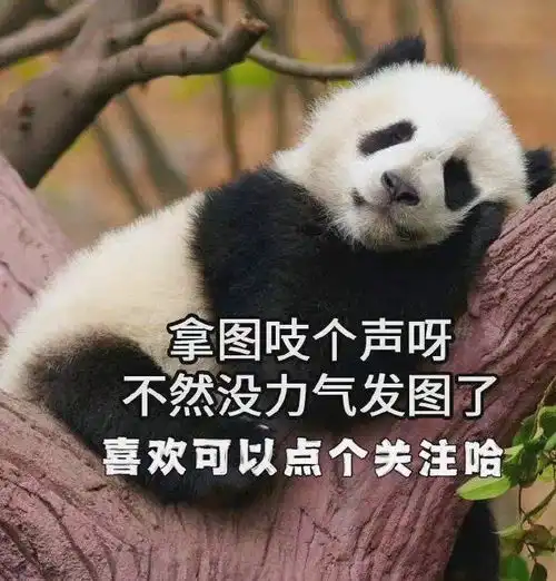 一眼就爱上的手机壁纸
