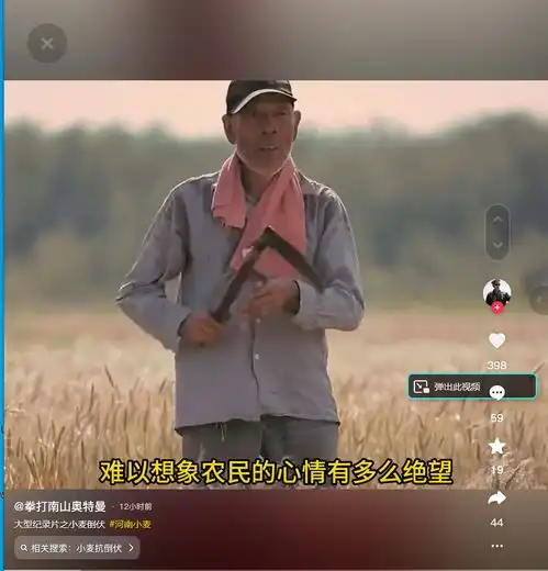 12级狂风突袭河南,路灯倒塌致行人遇难,小麦倒伏,农民欲哭无泪
