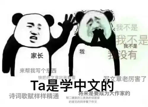 夜色临沂那些被误解的专业每年春节都是一场灾难
