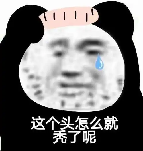 搞笑沙雕熊猫头表情包
