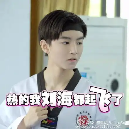 tfboys表情包
