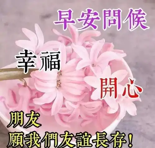 你再聪明也不可能事事都能看透你再智慧也不可能人人都能看懂
