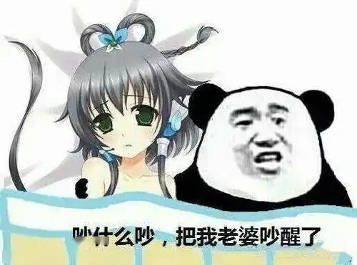 熊猫头表情包i你到底要我说几次
