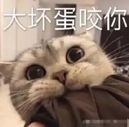 5张很黄很污的表情包送给你,张张撩到女神腿软,你敢发吗

