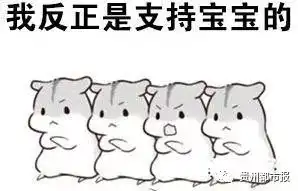毕导是谁他的新片入围戛纳盘点贵州,还有这些厉害的导演
