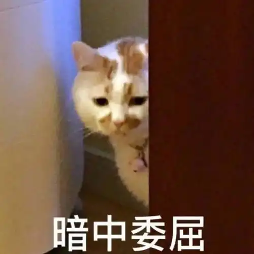 从小到大的闺蜜看到我穿汉服,说我像青楼出来的,...
