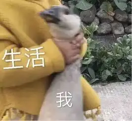山西一男子被女主播套路9万6后,想拿回钱,又被女网友骗走2万2
