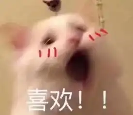 超惊艳惠州这些地方可以看萤火虫快来打卡
