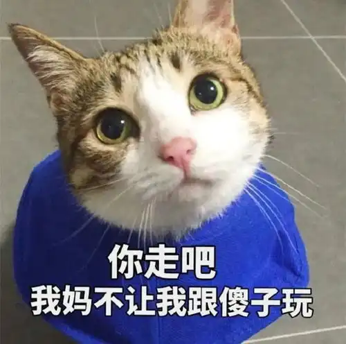 表情包分享,喜欢自取哟