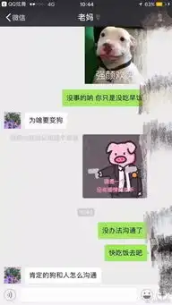 不要轻易发表情给父母,因为爸妈对表情包的理解和你不同
