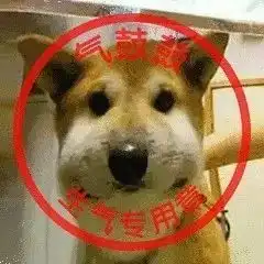 我们不一样,斗图表情包妈蛋表情网
