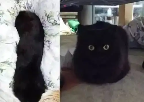 哈哈哈丨笑到生活不能自理的手办
