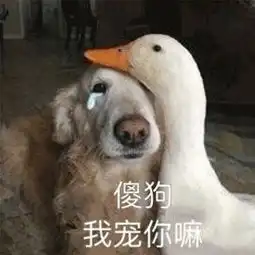 医生和医生结婚,连吵个架都能发顶级期刊论文
