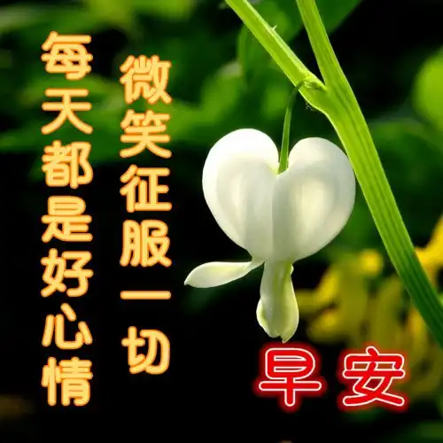 中老年表情包,生活平平淡淡,祝福长长久久

