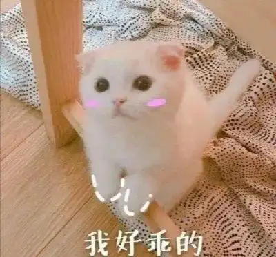 有没有那种可爱的文案,让她理我,就是谐音理理我