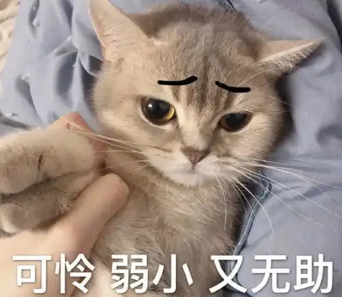 当你考试没过时
