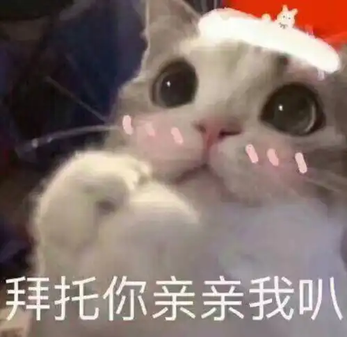 可爱的圣诞节表情包
