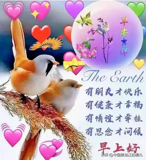 33幅快乐的鸟儿与翩翩起舞的蝴蝶问候美图分享给你祝友幸福快乐
