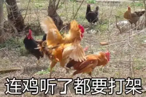 隔夜水致癌这10条饮食谣言,你一定听过送10积分
