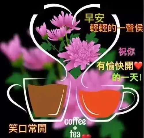 每晚睡前,原谅所有的人和事闭上眼睛,清理你的心,早安
