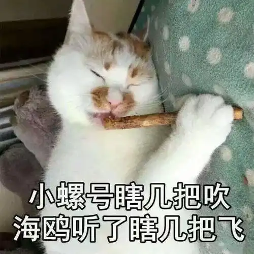 拿走不谢适合朋友圈评论发的50个沙雕表情包
