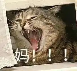 王若乔一组和妈妈的日常
