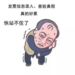 发票录入发票核验都挺好
