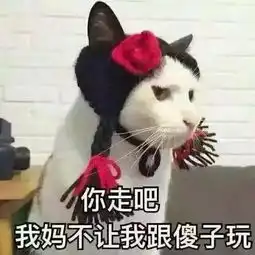 自从养了猫,从此再也不愁没表情包了
