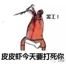 被皮皮虾我们走刷屏了这表情包太魔性...
