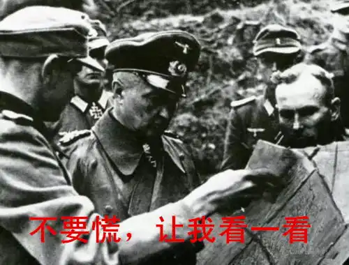 德军表情包第一弹莫德尔元帅
