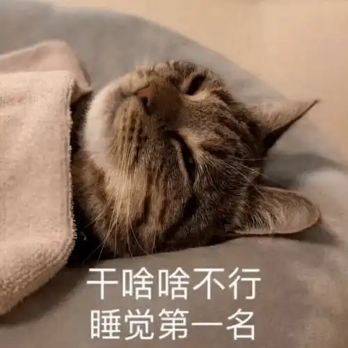 嘉庚体测大型崩溃现场体测一次,残废一周...
