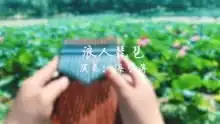 拇指琴版抖音浪人琵琶,这么好听的情歌怪不得火了
