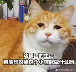 电子烟也被禁了控烟升级,深圳开了首张电子烟罚单
