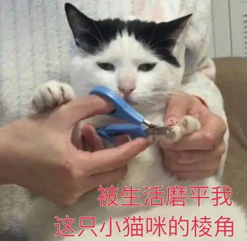 为什么你越来越不喜欢发朋友圈,最怕没有ta的赞
