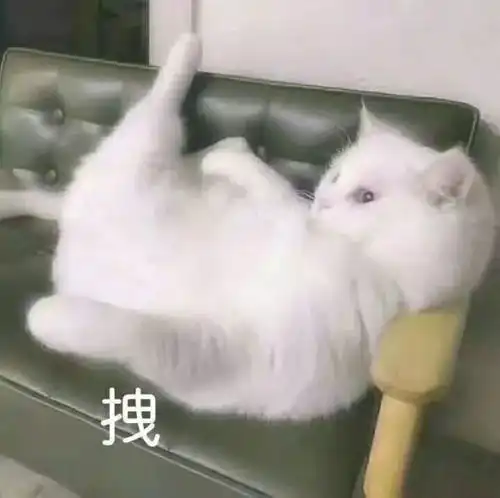 看完这些奇葩的面试问题,默默撕毁了手上的辞职信
