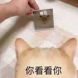 我,90后已经开始立遗嘱了
