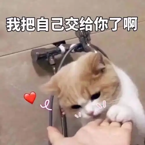 撩女朋友的表情包30张撩妹必备情话表情

